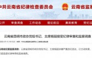 曾任昆明市副市长的她，主动投案