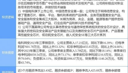 2月6日电科网安涨停分析：国产芯片，数字人民币，军工集团概念热股