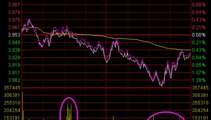 神秘资金疑似出手！机构发现主力底线——道达投资手记