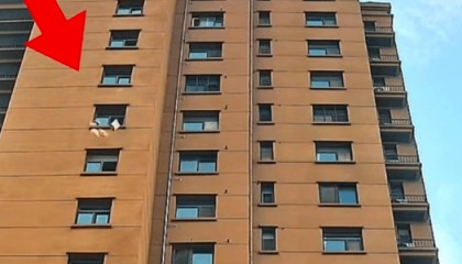 江苏徐州一小区有人频繁高空抛物,警方通过被扔快递盒上信息寻找肇事业主,记者联系物业公司,回应来了