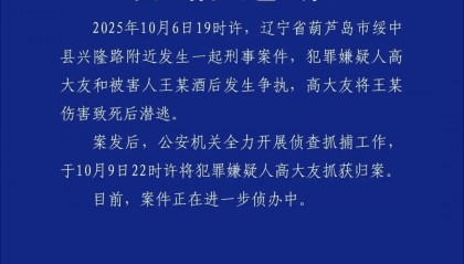 高大友酒后伤人致死，已被抓获归案，辽宁警方通报