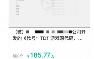半成品游戏源代码185.77万元起拍？拍卖方：原公司开发曾投入超千万元