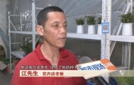 男子卖了三盆花，引来五万索赔