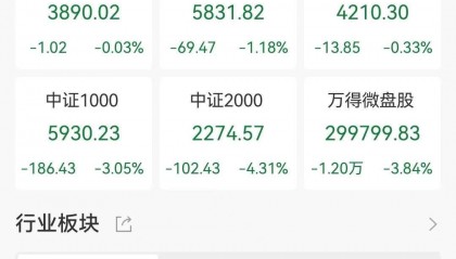 A股收评：三大指数下跌，创业板指跌1.88%北证50跌9.61%！稀土永磁、医药商业走高，超4300股下跌，成交2.23万亿放量131亿