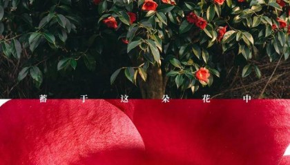 毛利率超80％，割女性韭菜？