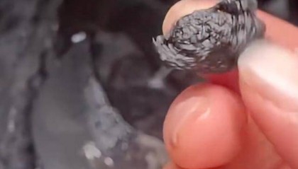 吓人！食用油燃烧后像“沥青”！鲁花回应：放心吃就行了！