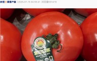 美国将对这国番茄征收超17%的关税！美“关税通牒”引众怒，欧盟民众：不能接受美国霸凌......