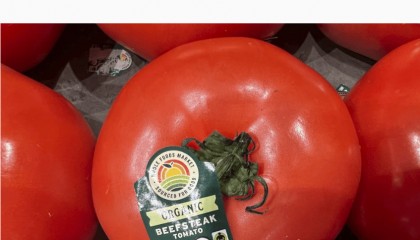 美国将对这国番茄征收超17%的关税！美“关税通牒”引众怒，欧盟民众：不能接受美国霸凌......