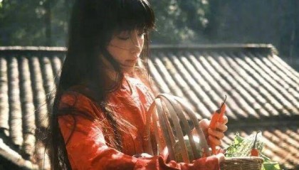 李子柒编剧纪录片《温室》过审 影片聚焦为患病奶奶建造温室