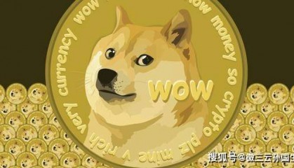 千亿市值的老板首选支付，狗狗币崛起：通用货币的未来探索