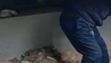 河南长垣女子购买一楼房子在院子里挖出疑似人体骨头，警方介入！物业：多方协调中