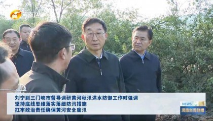 河南省委书记，赴黄河沿线督导，现场研究部署