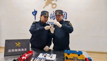 比普通蚂蚁大10倍！沈阳截获40只外来巨人恐蚁，藏匿方式相当精致