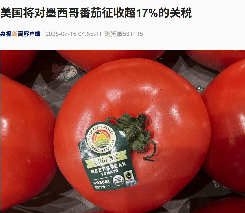 美国将对这国番茄征收超17%的关税！美“关税通牒”引众怒，欧盟民众：不能接受美国霸凌......