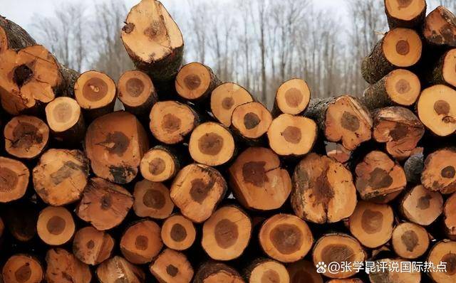 48小时内，中方连下3令，特朗普别高兴太早，承诺一个都不能少