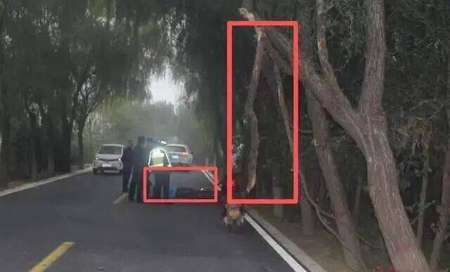 女教师骑车上班“撞树”身亡，交警认定其超速！法院一审、二审反转！家属最终获赔76万元